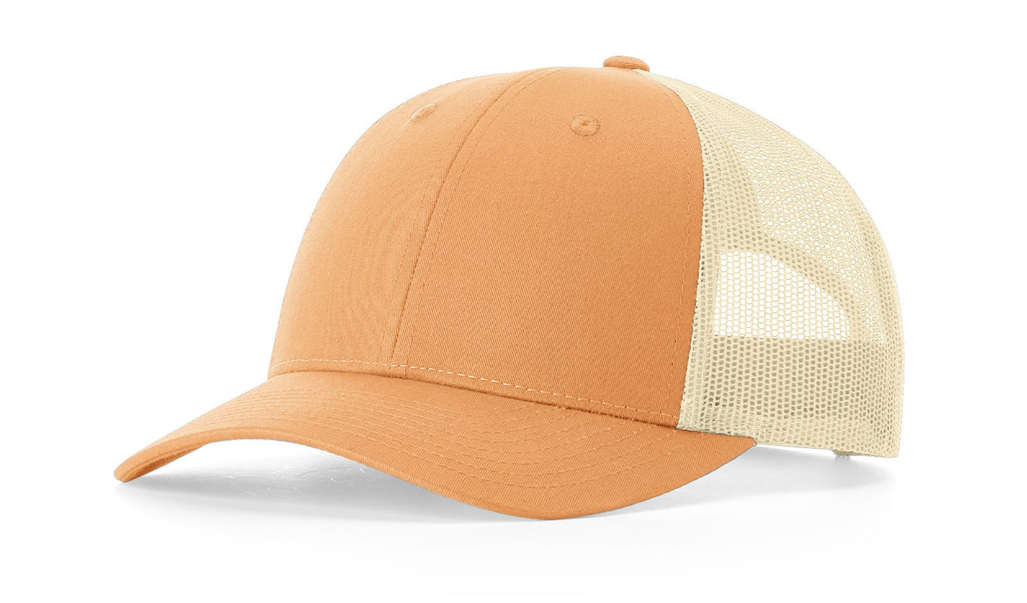 RICHARDSON: 115 Low Pro Snapback